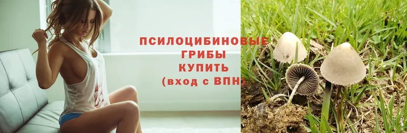 купить наркотики сайты  кракен   Галлюциногенные грибы Cubensis  Тюкалинск 